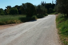 kathariotita8