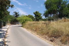 10.-Το-κτήμα-Καρέλλα-γεμάτο-ξερόχορτα-ακριβώς-έξω-από-την-νοτιανατολική-πόρτα_