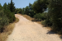 7.-Το-βόρειο-μονοπάτι-του-δάσους_