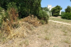 9.-Το-σημείο-κοντά-στον-Πύργο-αποψιλώθηκε-αλλά-τα-ξερόχορτα-έμειναν_