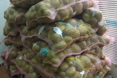 tebamar1