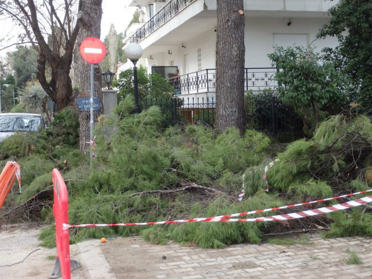Υπερβάλλων “πράσινος” ζήλος (update)