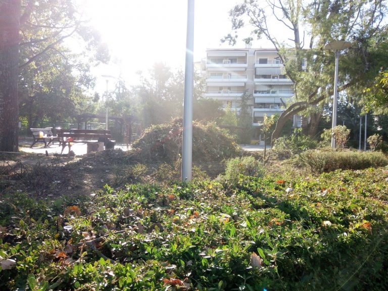 Καλλωπισμός εναντίων χαράς των παιδιών