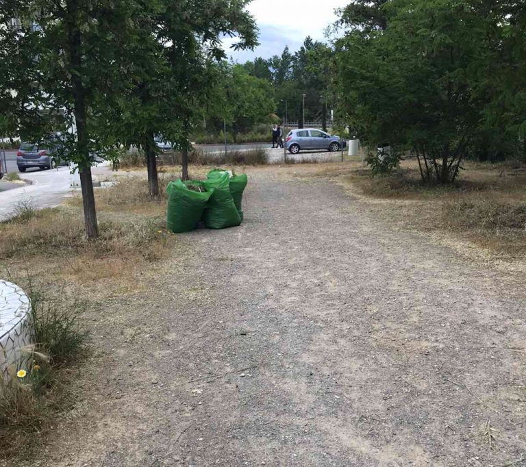 Εργασίες αποψίλωσης και καθαρισμού στις περιοχές Πολυδρόσου και ΟΑΚΑ