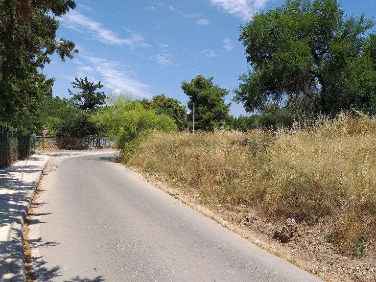 Φορέας πολιτών Κηφισιάς/Αμαρουσίου: «Το δάσος Συγγρού ανήκει στους πολίτες»
