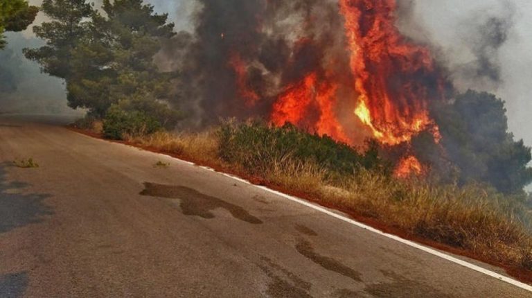 Κυκλοφοριακές ρυθμίσεις στην περιοχή του Καρέα λόγω της πυρκαγιάς