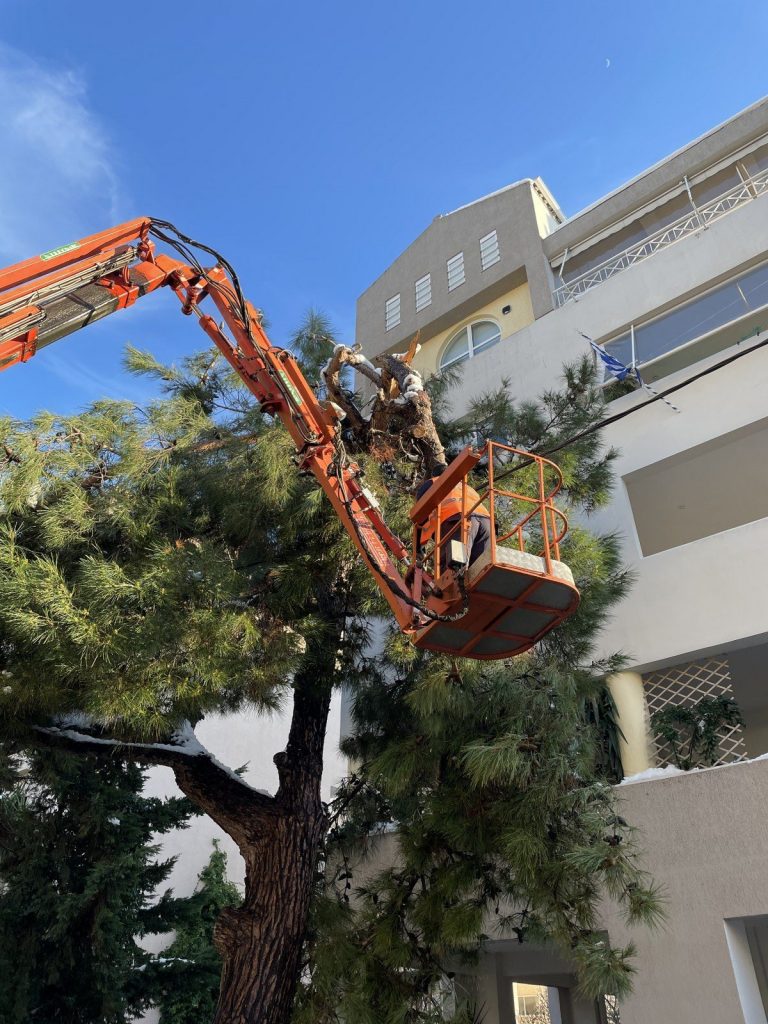 Διευκρινίσεις της Κεντρικής Ένωσης Δήμων Ελλάδας σχετικά με την αρμοδιότητα για το κλάδεμα ή κόψιμο των δέντρων κατά μήκος των γραμμών μεταφοράς ενέργειας