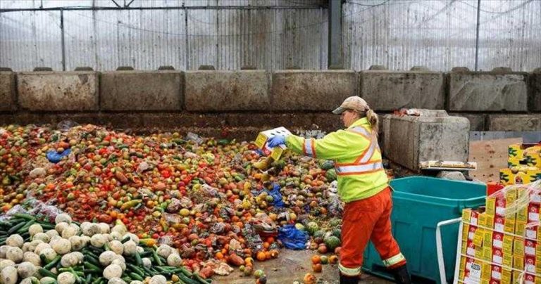 «Πράσινα» καύσιμα αεροπλάνων από πεταμένα τρόφιμα