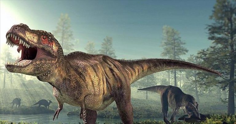 Οι τρομακτικές αλλά αργές αγέλες των T.rex