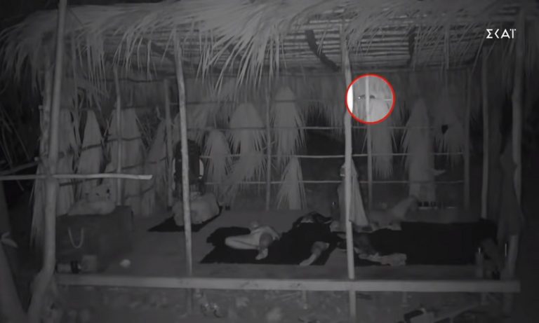 Survivor 18/5: Πανικός στο παιχνίδι! Τους κοψοχόλιασε νυχτιάτικα! (vid)