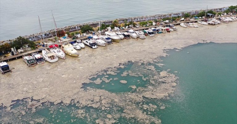 Ο υπ. Περιβάλλοντος δεσμεύτηκε να καθαρίσει την Θάλασσα του Μαρμαρά από τη «θαλάσσια βλέννα»