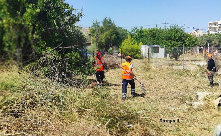 Μέτρα πυροπροστασίας – Καθαρισμός οικοπέδων στο Δήμο Χαλανδρίου – Δήμος Χαλανδρίου