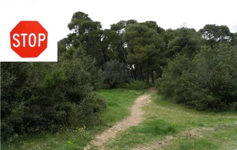 Κλειστό το δάσος Συγγρού ως την Δευτέρα 9 Αυγούστου