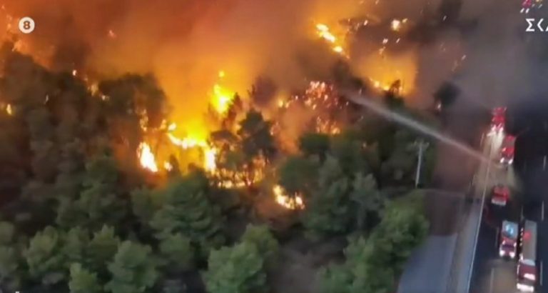 Συγκλονιστικές εικόνες από ελικόπτερο: Η φωτιά «καταπίνει» τα πάντα στο πέρασμα της (βίντεο)
