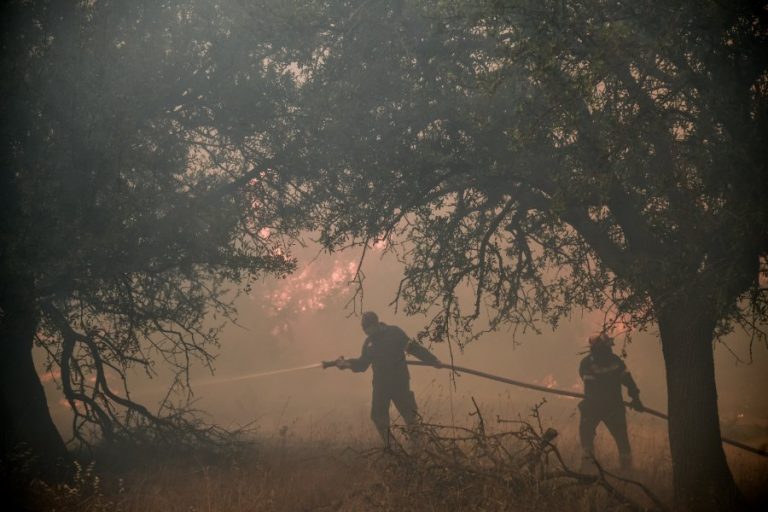 Ελεύθερος με περιοριστικούς όρους ο 14χρονος για τις φωτιές στο Θεολόγο, τι λέει ο δικηγόρος του (βίντεο)