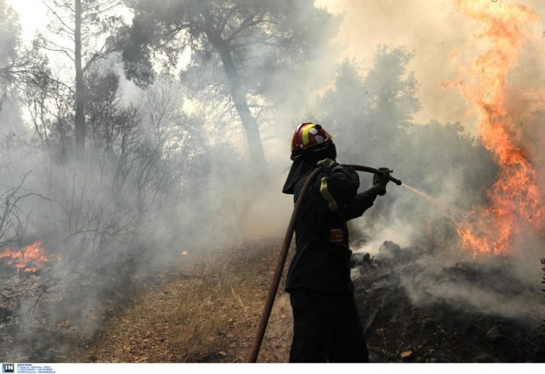 Φωτιά στο Λουτράκι, σε δασική έκταση