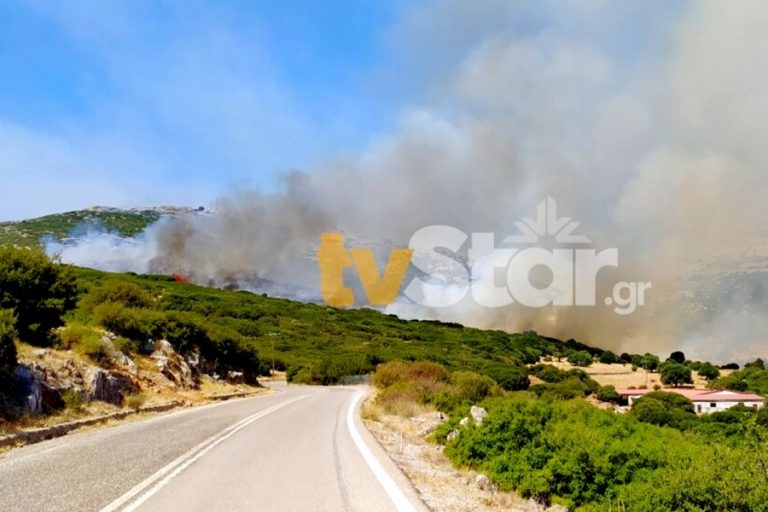 Φωτιά τώρα στη Νότια Εύβοια