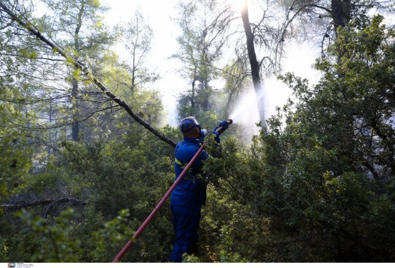 ΙΣΑ: Ψυχολόγοι και κοινωνικοί λειτουργοί στο πλευρό των πυρόπληκτων