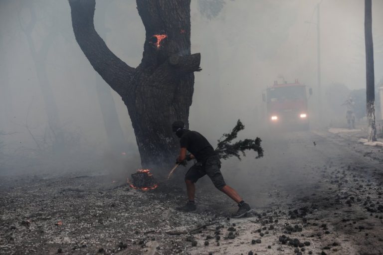 Προσαγωγή υπόπτου για εμπρησμό στο Κρυονέρι – Ισχυρίστηκε πως ήταν εθελοντής