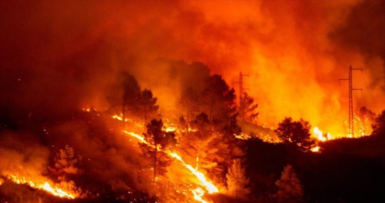 Δύο νεκροί και σημαντικές καταστροφές σε δασικές πυρκαγιές