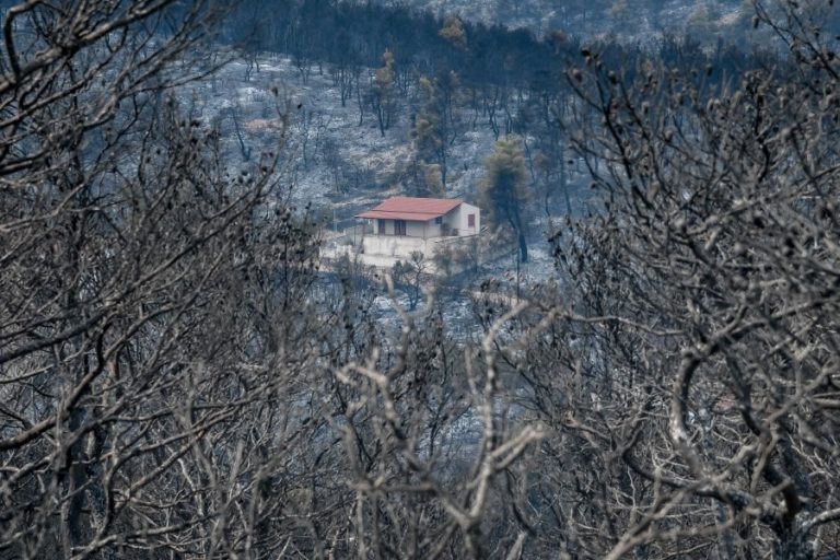 Φωτιές: Οι προτάσεις της WWF Ελλάς για την επόμενη μέρα