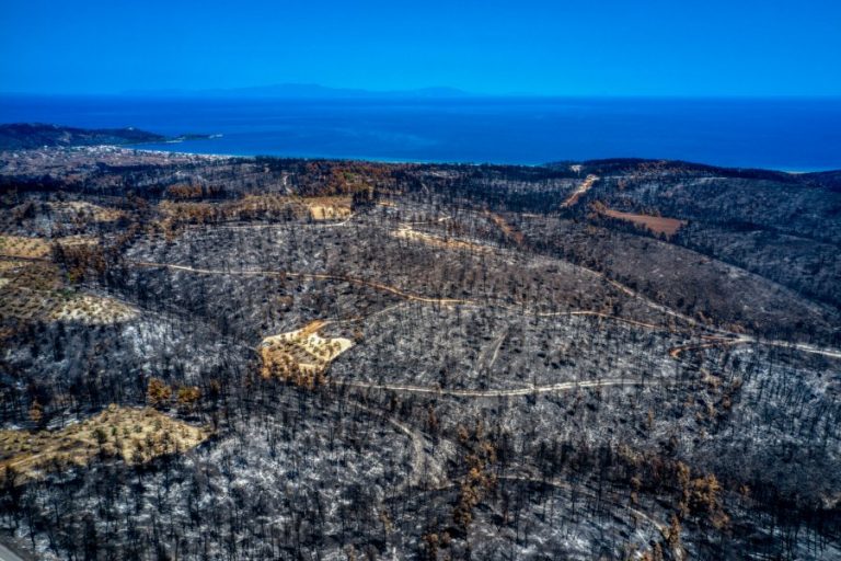 Αποκαρδιωτικές εικόνες από τη φωτιά στην Εύβοια: Κάηκε το 1/3, χρειάζονται 30 χρόνια για να ξαναγίνει το δάσος – Ειδήσεις