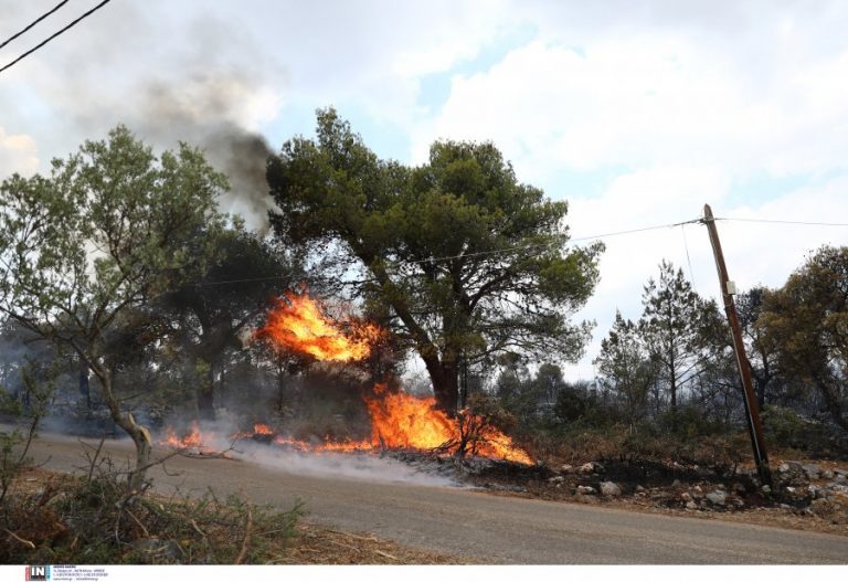 Για πέμπτη μέρα μαίνεται η φωτιά στα Βίλια, στη μάχη τα εναέρια μέσα – Καλύτερη η εικόνα (βίντεο)