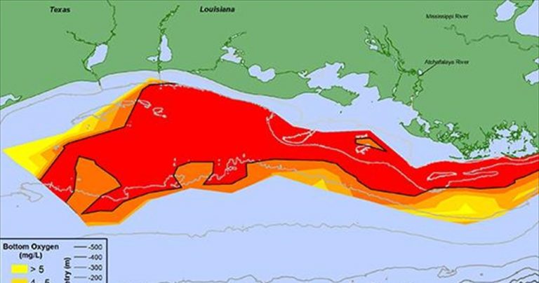 Έκταση ρεκόρ για τη νεκρή ζώνη του Κόλπου του Μεξικού
