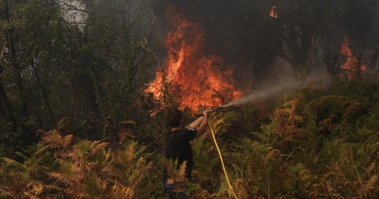Δασική πυρκαγιά πλησιάζει και άλλο ηλεκτρικό σταθμό στην επαρχία των Μούγλων