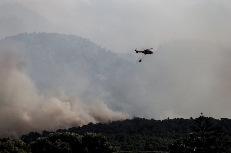 Φωτιά τώρα στη Βοιωτία, μήνυμα από το 112 στους κατοίκους στην παραλία Διστόμου και Περιστερά