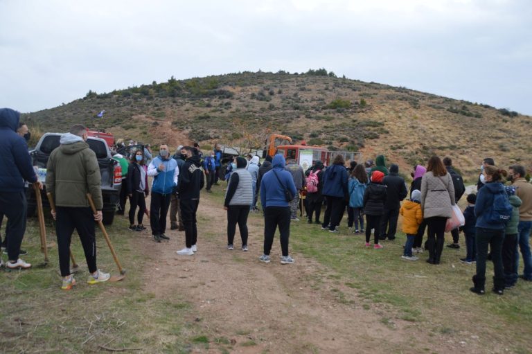 ΣΠΑΠ – Δράση αναδάσωσης στη Νταού Πεντέλης, την Κυριακή 21 Νοεμβρίου – Δήμος Χαλανδρίου