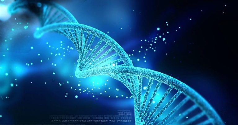 Βλάβες στο DNA προκαλούν χρόνια φλεγμονή και παγκρεατίτιδα