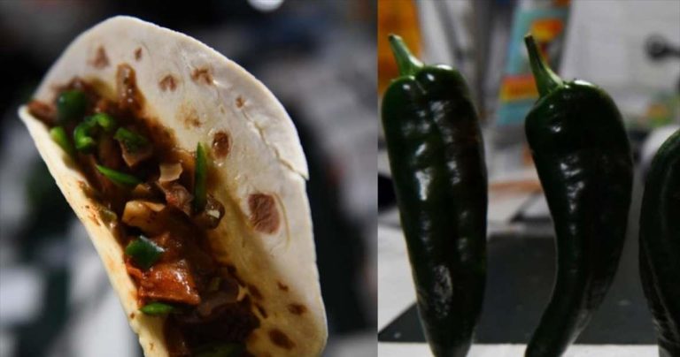Εξωγήινο masterchef: Τα πρώτα τάκος διαστημικής παραγωγής