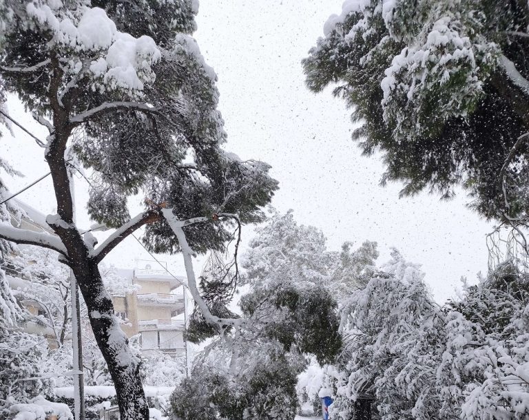 Θερμαινόμενοι χώροι στο Δήμο Χαλανδρίου – Δήμος Χαλανδρίου