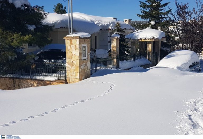 Έπεσαν τα πρώτα χιόνια σε Καρδίτσα και Τρίκαλα – Ειδήσεις