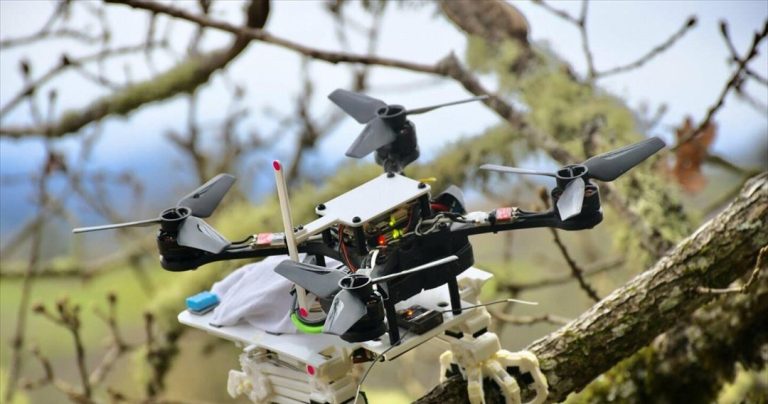 Το πρώτο drone-γεράκι που θα σώζει ανθρώπους