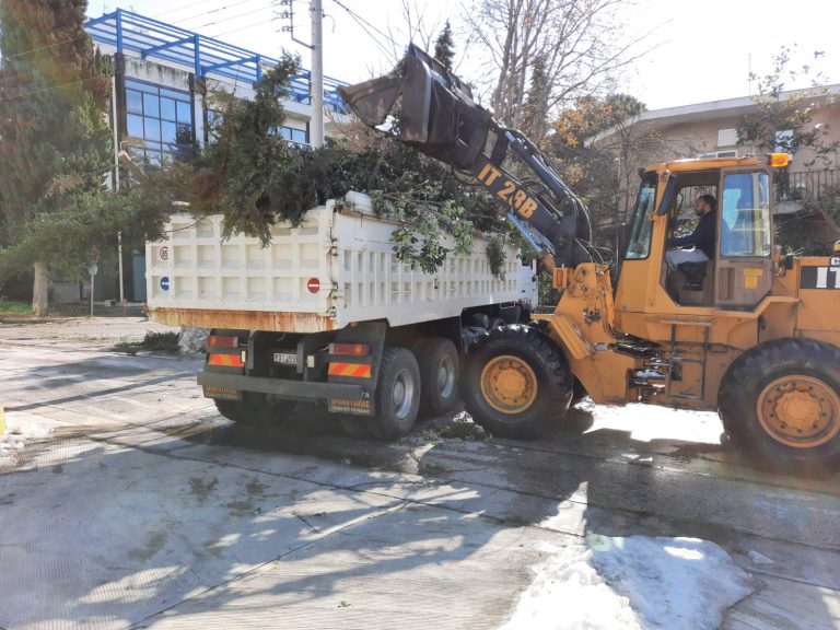 Ο Δήμος Αμαρουσίου στο πλευρό των Δημοτών και της εκπαιδευτικής κοινότητας – Συνεχίζεται το έκτακτο πρόγραμμα αποκομιδής κλαδιών & ογκωδών – Δήμος Αμαρουσίου