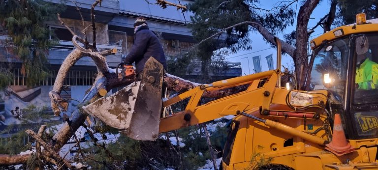Δήμος Χαλανδρίου – Ενημέρωση για τα πεσμένα δέντρα και τα σπασμένα κλαδιά – Δήμος Χαλανδρίου
