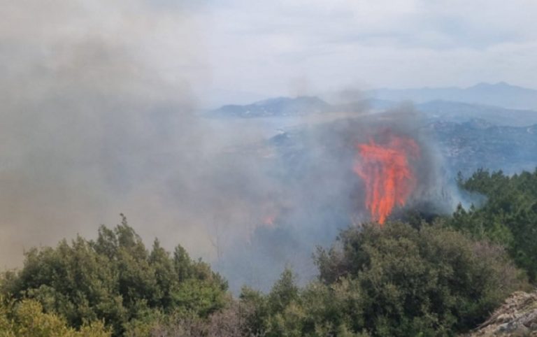 Μαίνεται η φωτιά στη Σάμο και σε τρία μέτωπα, «θα καίει μέχρι Τετάρτη βράδυ», λέει αντιπύραρχος (βίντεο)