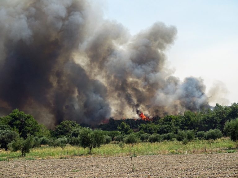 Πυρκαγιά στον Πύργο, καίει αγροτοδασική έκταση