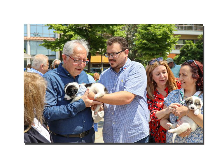 Για 1η φορά στο Μαρούσι «Γιορτή Υιοθεσίας Αδέσποτων» – Δήμος Αμαρουσίου