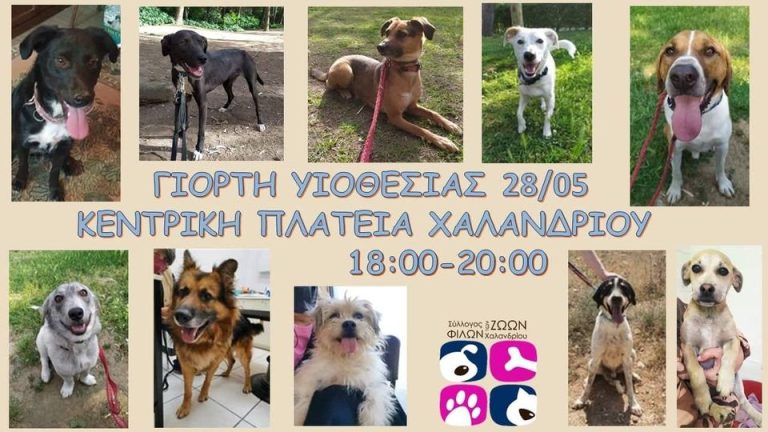 Ο Σταμάτης, η Αμάντα, ο Κοντός και τ’ άλλα …παιδιά, σας περιμένουν στην Κεντρική Πλατεία, το Σάββατο 28 Μαΐου – Δήμος Χαλανδρίου