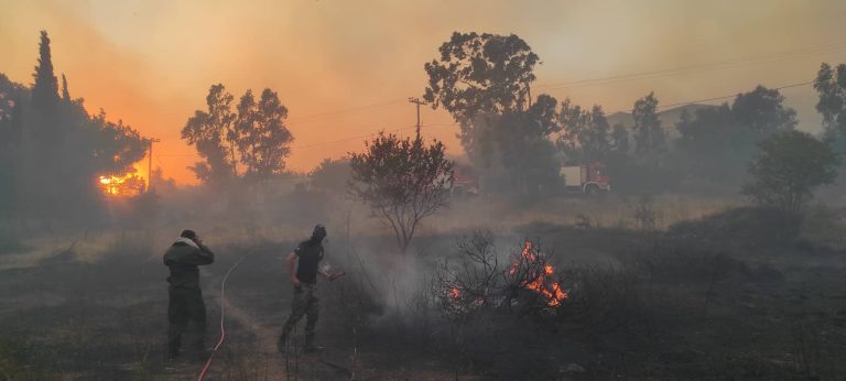 Συγκεντρώνουμε είδη πρώτης ανάγκης για τους πυρόπληκτους της Αττικής – Δήμος Χαλανδρίου