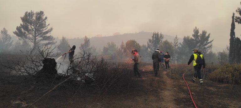 Ψήφισμα του Δημοτικού Συμβουλίου Χαλανδρίου για τη φωτιά στην Πεντέλη – Δήμος Χαλανδρίου