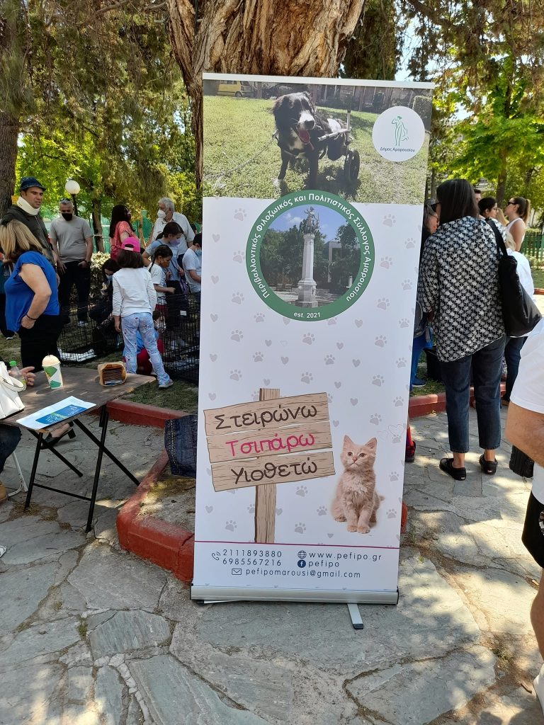 Περιβαλλοντικός, Φιλοζωικός και Πολιτιστικός Σύλλογος Αμαρουσίου: Ενεργό πρόγραμμα στειρώσεων Δήμου Αμαρουσίου