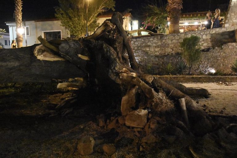 Σέρρες: «Το κλαδί τον είχε καπακώσει στην καρδιά», λέει ο αδερφός του άτυχου 69χρονου