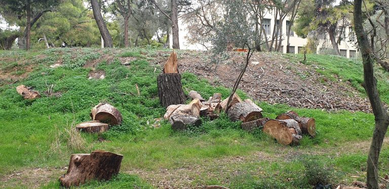 Ενωμένο Μαρούσι: Συνένοχοι ο κ. Αμπατζόγλου και οι συνεργάτες του στο «έγκλημα» του Δάσους Συγγρού! – Ενωμένο Μαρούσι