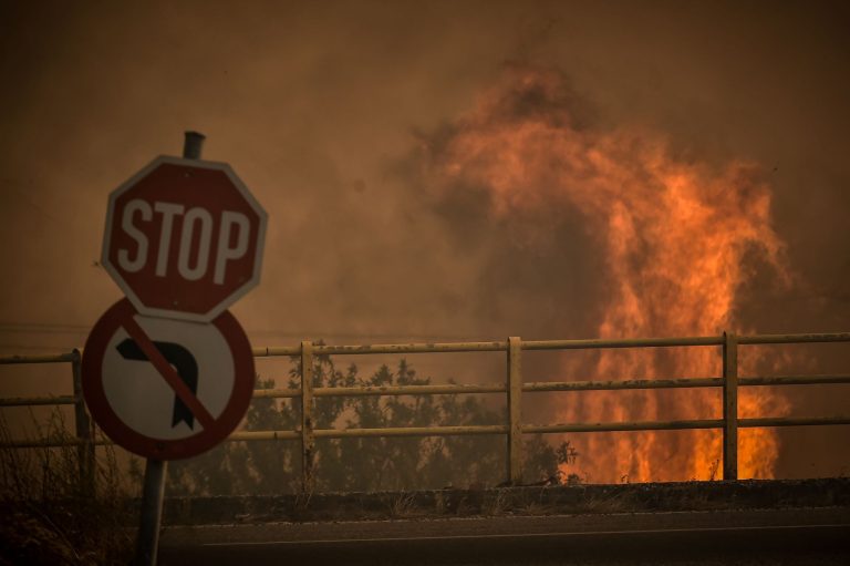 Πυρκαγιά στην Μαγνησία: Κοντά σε κατοικημένες περιοχές του Βόλου