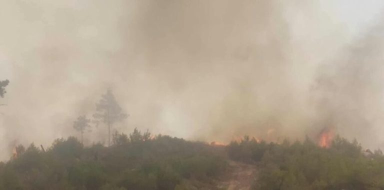 Ανεξέλεγκτη η Φωτιά στη Ρόδο, καίγονται ξενοδοχεία