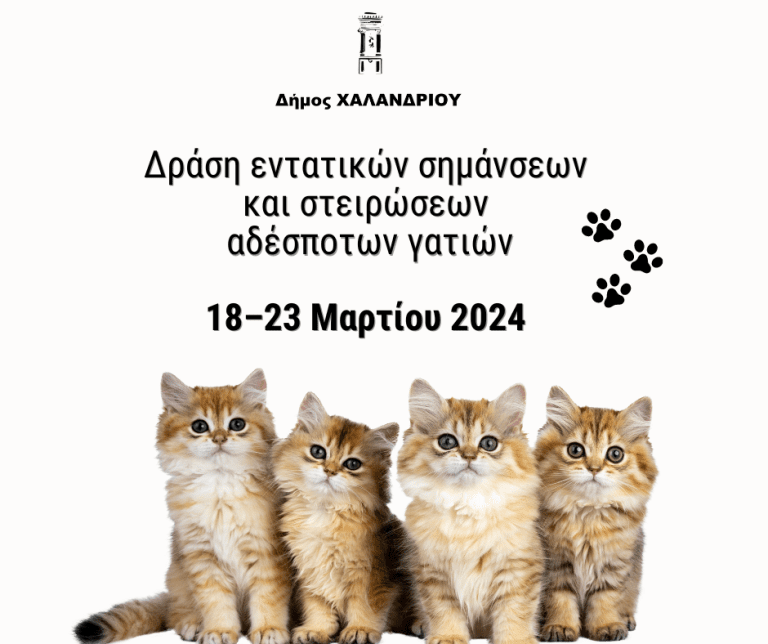 Δράση εντατικών σημάνσεων και στειρώσεων αδέσποτων γατών – Δήμος Χαλανδρίου